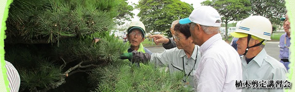 柳川市シルバー人材センター